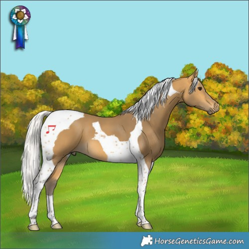 Horse Color:Silver Buckskin Tobiano