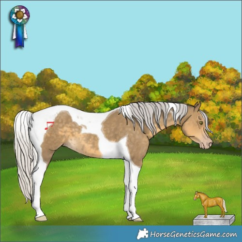 Horse Color:Silver Classic Cream Champagne Tobiano