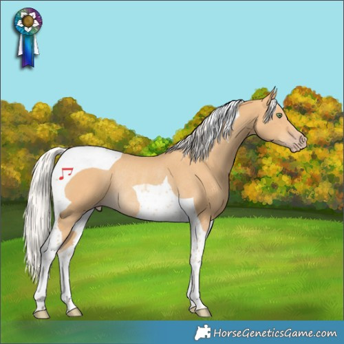 Horse Color:Silver Sable Cream Champagne Tobiano Rabicano 