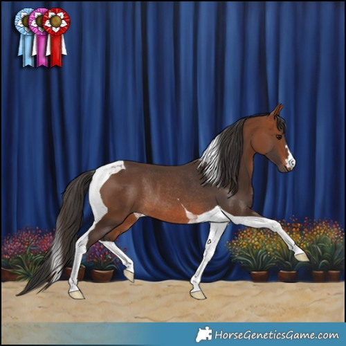 Horse Color:Bay Tobiano Rabicano 