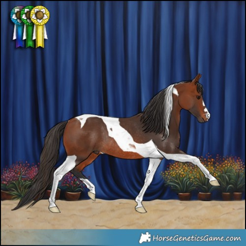 Horse Color:Bay Tobiano Rabicano 