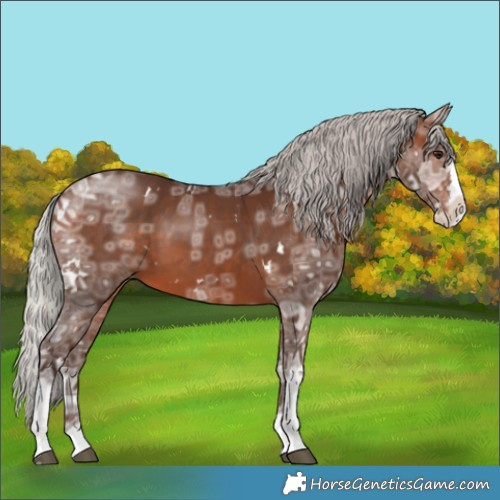 Horse Color:White Spotted Silver Brown Ice Mushroom Splash