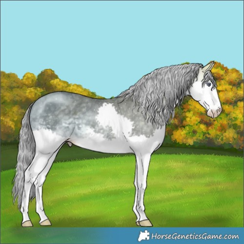 Horse Color:Buckskin Chinchilla Ice Splash Varnish
