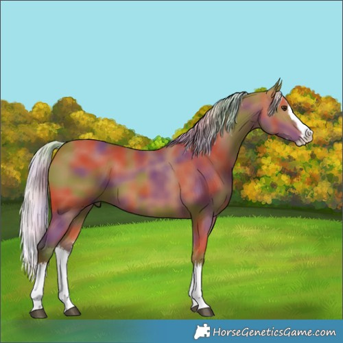 Horse Color:Nacre White Spotted Silver Bay Splash 