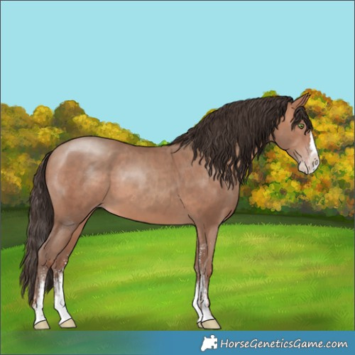 Horse Color:White Spotted Sable Champagne Splash Rabicano