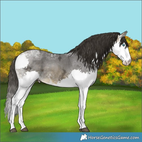 Horse Color:Buckskin Ice Mushroom Splash Tobiano 