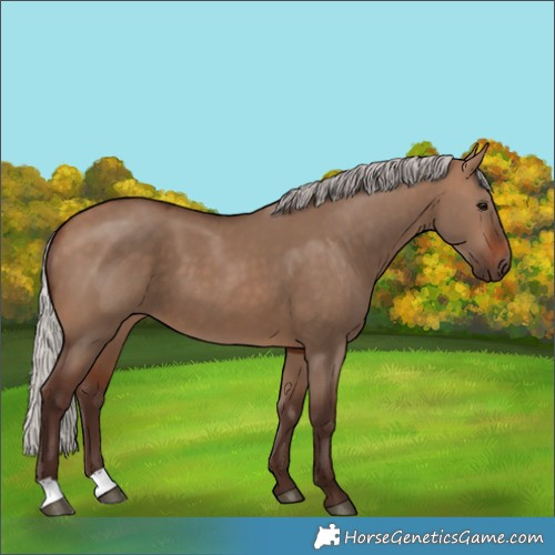 Horse Color:Silver Brown Dun