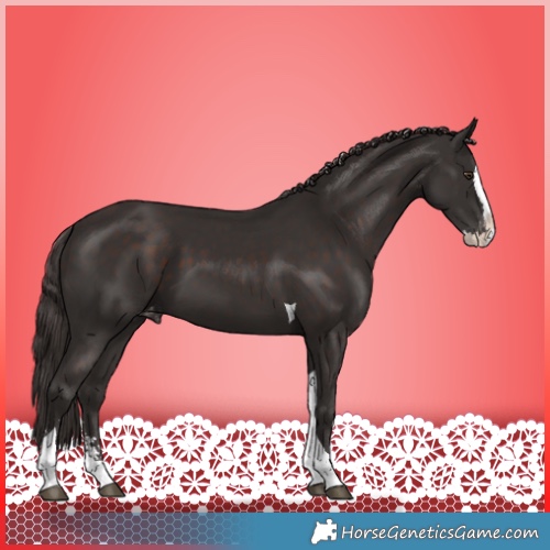 Horse Color:Liver Chestnut Sabino Splash Tobiano Varnish