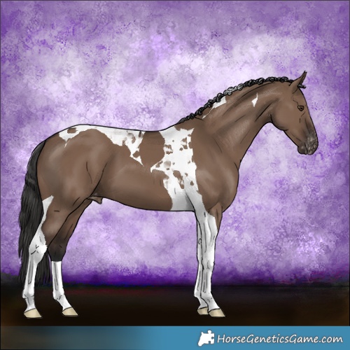 Horse Color:Liver Red Dun Tobiano Varnish
