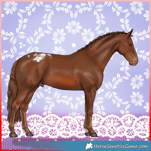 Horse Color:Chestnut Varnish 