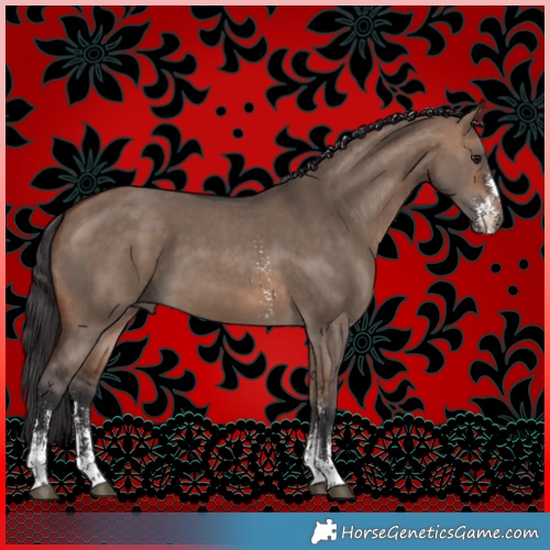 Horse Color:Bay Dun Sabino 