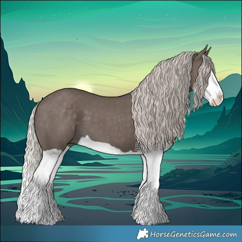 Horse Color:Silver Black Splash