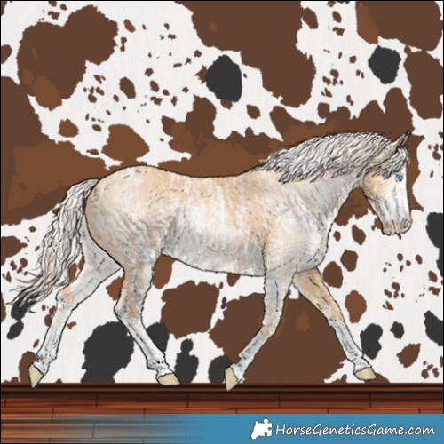 Horse Color:Cremello Dun Sabino  and Gray Cremello Dun Sabino 
