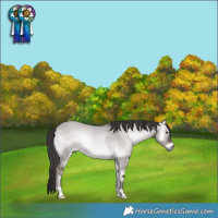 Horse Color:Platinum Liver Red Dun Onyx Rabicano