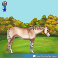 Horse Color:Gold Champagne Onyx Sabino Rabicano