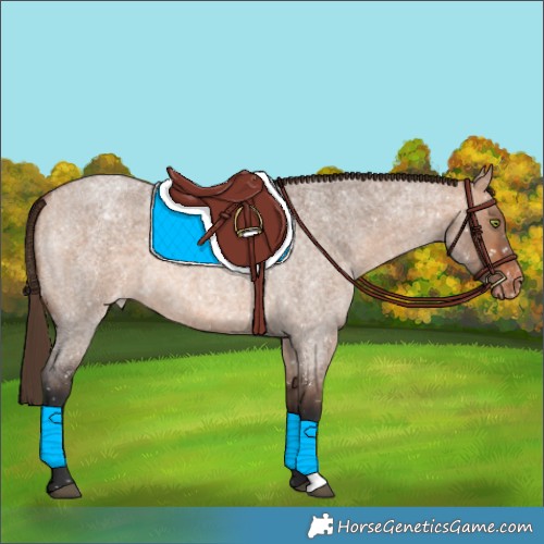 Horse Color:Bay Roan Dun Snowflake Varnish