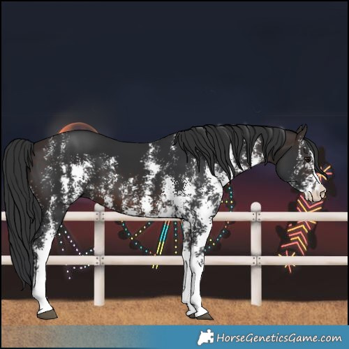Horse Color:Brown Sabino 
