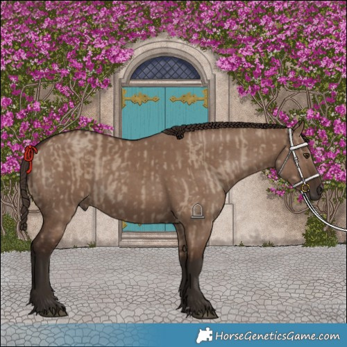 Horse Color:Liver Red Dun and Liver Red Dun