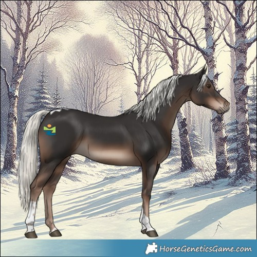 Horse Color:Liver Chestnut Mushroom Tobiano Rabicano 