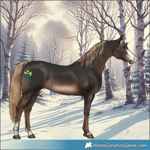 Horse Color:Liver Chestnut Sabino