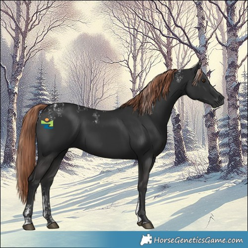 Horse Color:Powder White Liver Chestnut