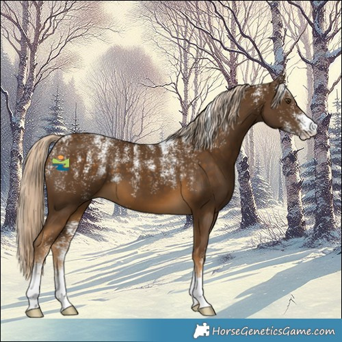 Horse Color:Powder White Chocolate Palomino Mushroom 