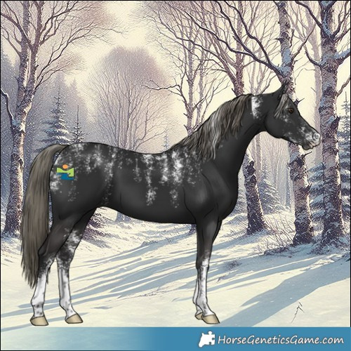 Horse Color:Powder White Liver Chestnut Mushroom