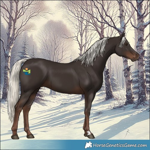 Horse Color:Liver Chestnut Mushroom