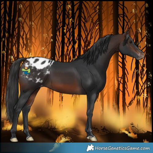 Horse Color:Brown Mushroom Blanket