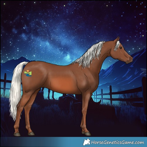 Horse Color:Chestnut Mushroom