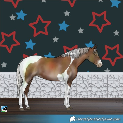 Horse Color:Gray Silver Black Pearl Tobiano 