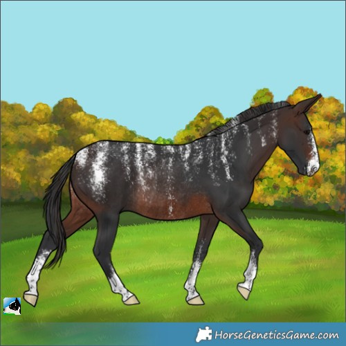 Horse Color:Powder White Brown Rabicano