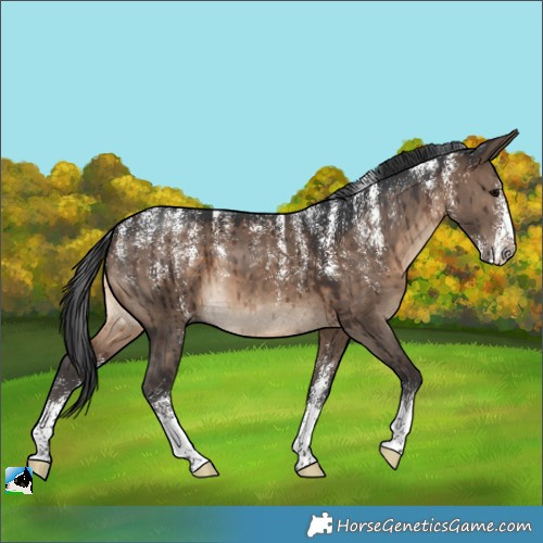 Horse Color:Powder White Brown Dun Brindle