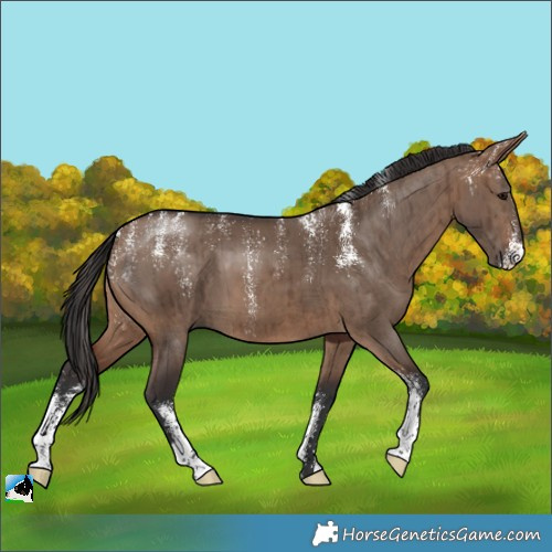 Horse Color:Powder White Brown Dun Brindle