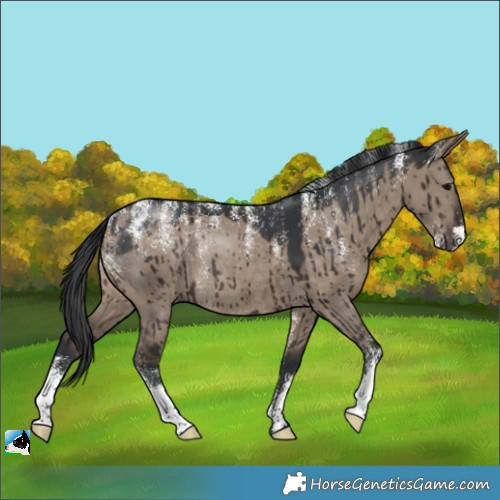 Horse Color:Powder White Brown Dun Rabicano Brindle
