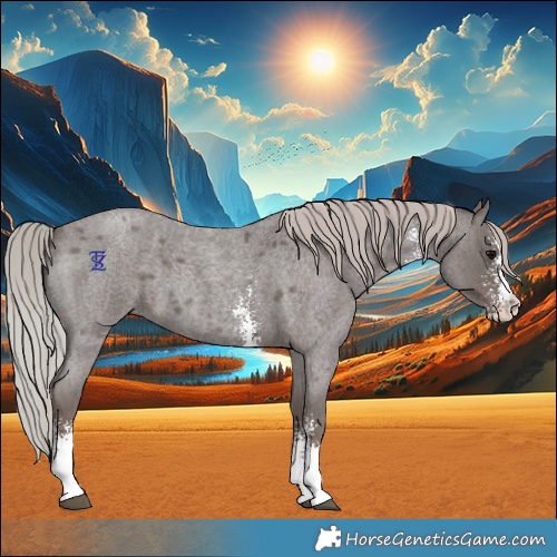 Horse Color:Silver Blue Roan Sabino