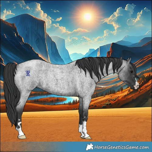 Horse Color:Blue Roan 