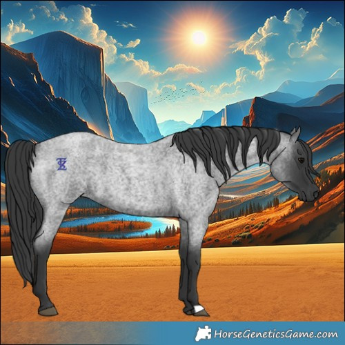 Horse Color:Blue Roan 