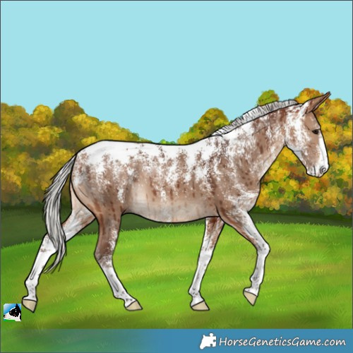 Horse Color:Powder White Silver Bay Dun Brindle