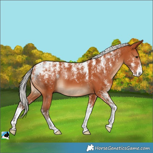 Horse Color:Powder White Silver Bay 