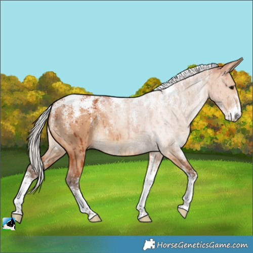 Horse Color:Powder White Silver Bay Dun Brindle