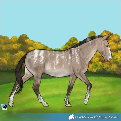 Horse Color:Powder White Brown Dun Brindle 