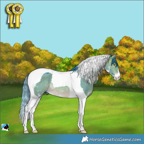 Horse Color:Watercolor Brown Dun Mushroom Sabino Tobiano Rabicano