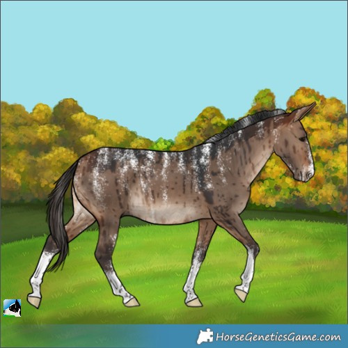 Horse Color:Powder White Bay Dun Brindle