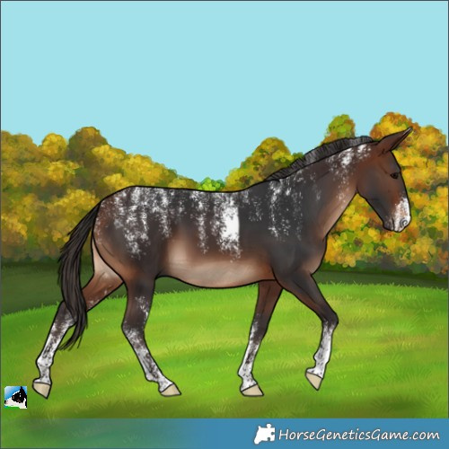 Horse Color:Powder White Brown 
