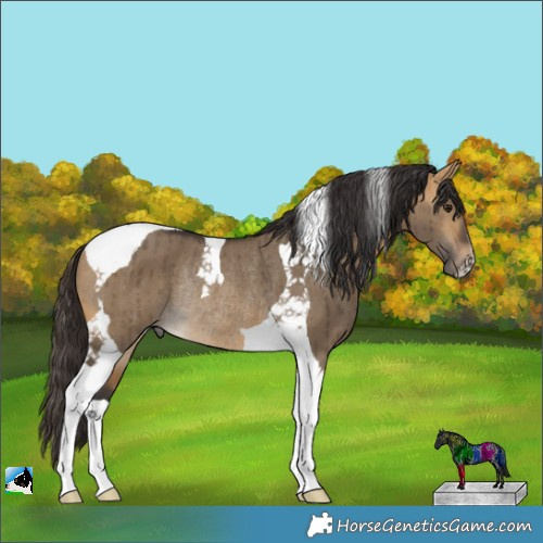Horse Color:Buckskin Dun Tobiano Rabicano Brindle 