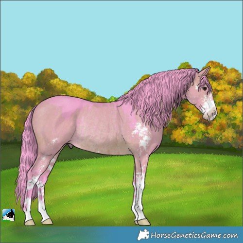 Horse Color:Watercolor Brown Dun Sabino Rabicano Brindle