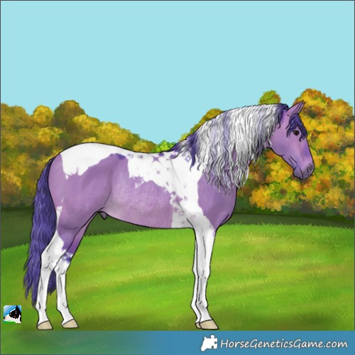 Horse Color:Watercolor Brown Dun Tobiano Rabicano 