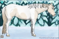 Horse Color:Perlino Roan Tobiano
