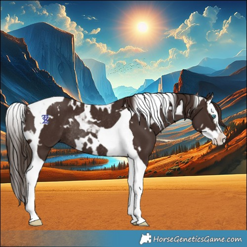 Horse Color:White Spotted Liver Chestnut Splash Tobiano Rabicano 